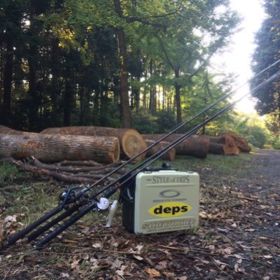 debss111's profile picture. 