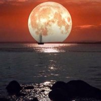 Sanat Kültür Müzik Sinema (@muzik_sanat) Twitter profile photo