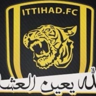 DOYOLIxa0JJ9U81's profile picture. 