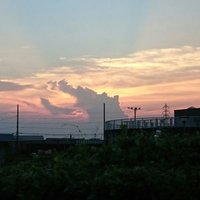 Etsuko Hayashi (@etsukohayashi5) 's Twitter Profile