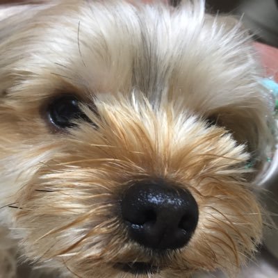 240katsu's profile picture. 