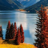 الحب زينه فى قلوب حزينه (@gmywqvauv8qsyhc) Twitter profile photo