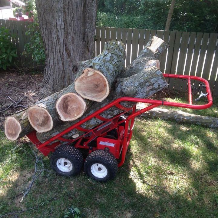 Production and Sale of Little Helper Carts and Henry