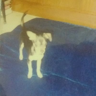 己酉先生さんのプロフィール画像