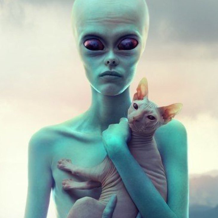 _e_t_k_i_'s profile picture. 