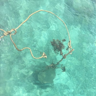 swiet123's profile picture. 