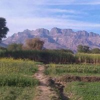 Mehsud (@mehsud_shahid) 's Twitter Profile