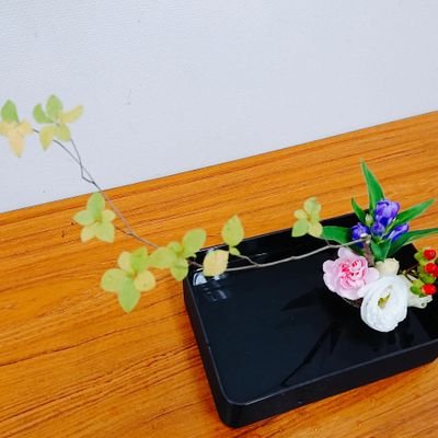 みんと🌱さんのプロフィール画像