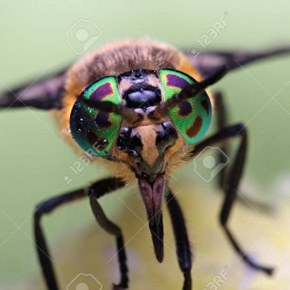 Godfly10's profile picture. Am a free thinker