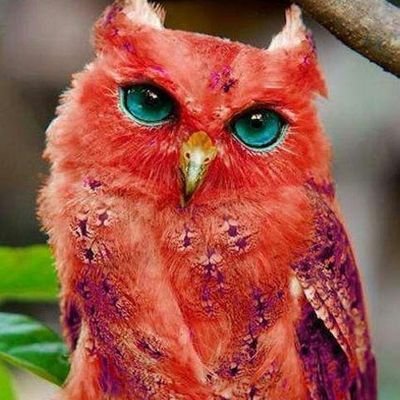 امروزت را داشته باش دیدی به فردا نرسید💜هر آنچه از بذل و بخشش به دیگران از تو رسد💜 ،همان بیشترکینه وانتقام دیگران از تودور شود.🌷
