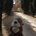 @gattozampe