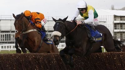 Love Sports and always have a punt! Horse racing, football, golf and rugby.