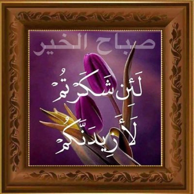 hajjialbadi's profile picture.