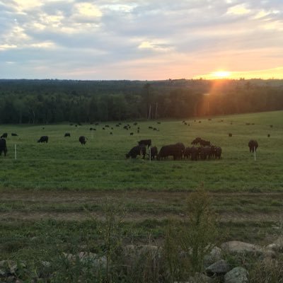 cattle & crop farming , Pioneer Sales Rep. Archeological Land Preparation