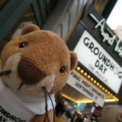 musical nerd stagehand. @JCSTheMusical changed my entire life. 
Presumably one of the most crazy fans of @timminchin's  @Groundhogdaybwy 🐿️❄️☀️