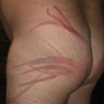 Bijerry1's profile picture. Property of Mistress Trish my SSM
Total Devotion
Dragon Tail marks  courteous of My SSM