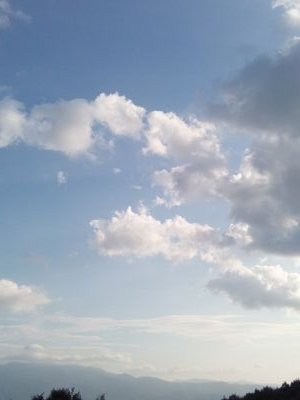 livesos1970's profile picture. 