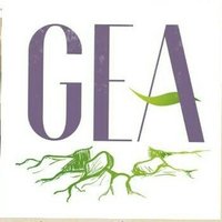 Gea De Mujeres (@geamujeres) 's Twitter Profile