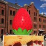emm_twit's profile picture. 関東に棲息する色々やる会社員デザイナー。今は主にWebと紙。メタバースも気になる。鉱石と多肉植物と動物が好きです。 無言フォロー失礼します。