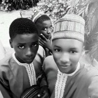 Zayd Anas Adamu (@zaydanasadamu) 's Twitter Profile
