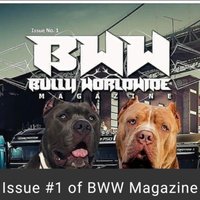 Bullyworldwide(@bullyworldwide) 's Twitter Profile Photo