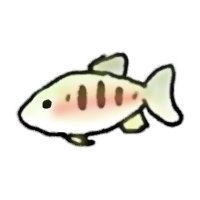 ヤマメ (@17kid) Twitter profile photo