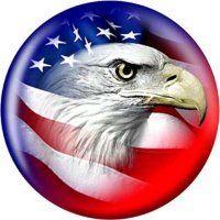 One Nation 🇺🇸(@ThePollers8) 's Twitter Profile Photo