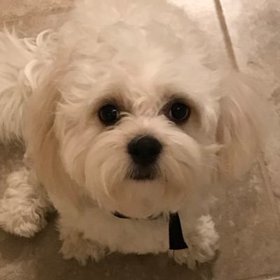 prayingfortruth's profile picture. Christian, Trump supporter, Boy Mom x4, listener 💕