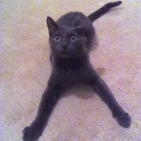 Amanda (@amanda97965561) 's Twitter Profile