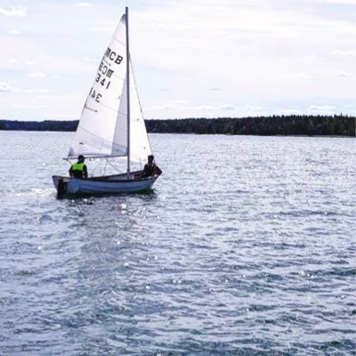 Mattias_Levin's profile picture. 