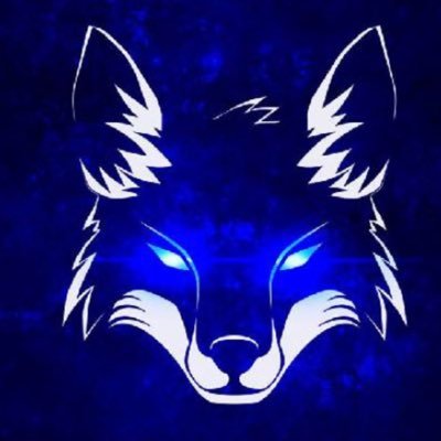 tombarron37's profile picture. Manchester united 🔴🔴❤️ YouTube channel alphadog 360👌🤙football is life ⚽️❤️13 year old 🔥