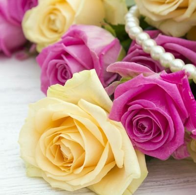 shiningstar5967's profile picture. 