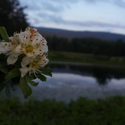 eonbas's profile picture. Ert