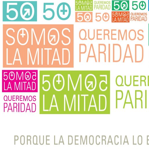 paridadpy's profile picture. 