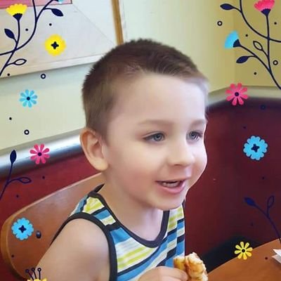 toobeary's profile picture. 