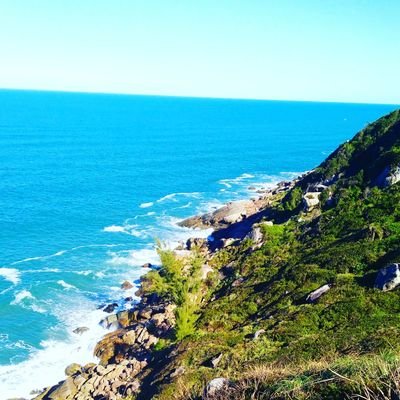 JackeNovack's profile picture. “Não permita que a espera se torne um hábito. Viva seus sonhos e corra riscos. A vida está acontecendo AGORA…”