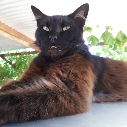 Puse138Sueldos's profile picture. 