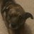 Twitter result for Nationwide from sawyerdog3