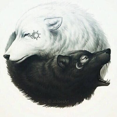 XenonXXV's profile picture. 