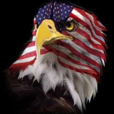 LynnLacefield's profile picture. 