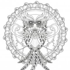 tipo_05's profile picture. NOTE: RTs/follows are not to be read unfailingly as endorsements. I sometimes post material with which I do not agree.