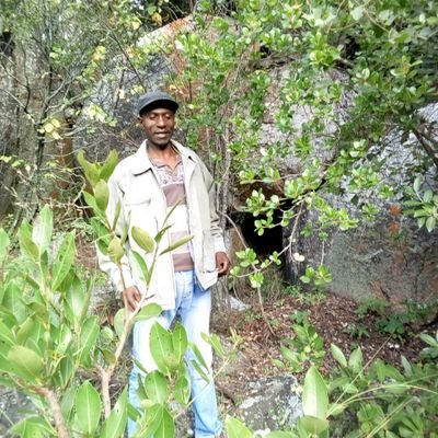 chese_t's profile picture. My person will remain mine