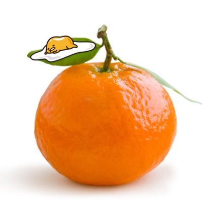 🍊みかん🍳👑🍺 on X: 