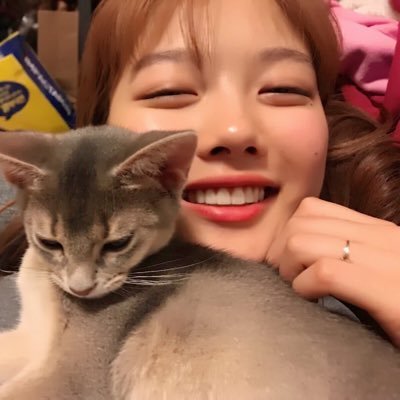 Jm 1986 Jm 魔女の宅急便が好きで一度行きたい場所 ジジが可愛い ジェジュンが前飼ってたのもジジだ 魔女の宅急便 ドゥブロヴニク ジジ Jiji ジェジュン