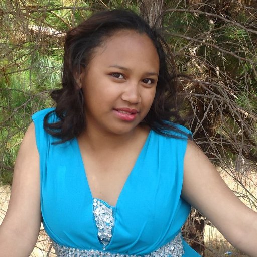 Tour Operator,Flat rate Agent,ticketing Agent in Madagascar