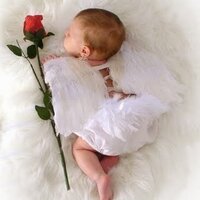 Elmira Sergeeva (@elmira) 's Twitter Profile