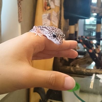 山÷原さんのプロフィール画像