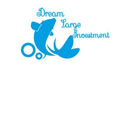 C.E.O at Dream Large Investment