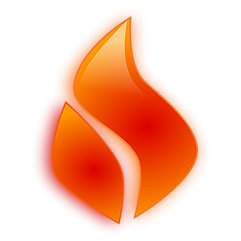 Forge TSA Students Profile