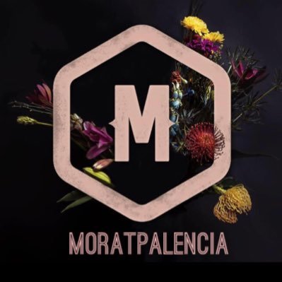 Cuenta de apoyo a Morat desde Palencia. JPI, JPV, MV y SV 9/7/2016 Les encontrarán como @moratbanda Facebook: @moratpalenciaofficial Instagram: moratpalencia